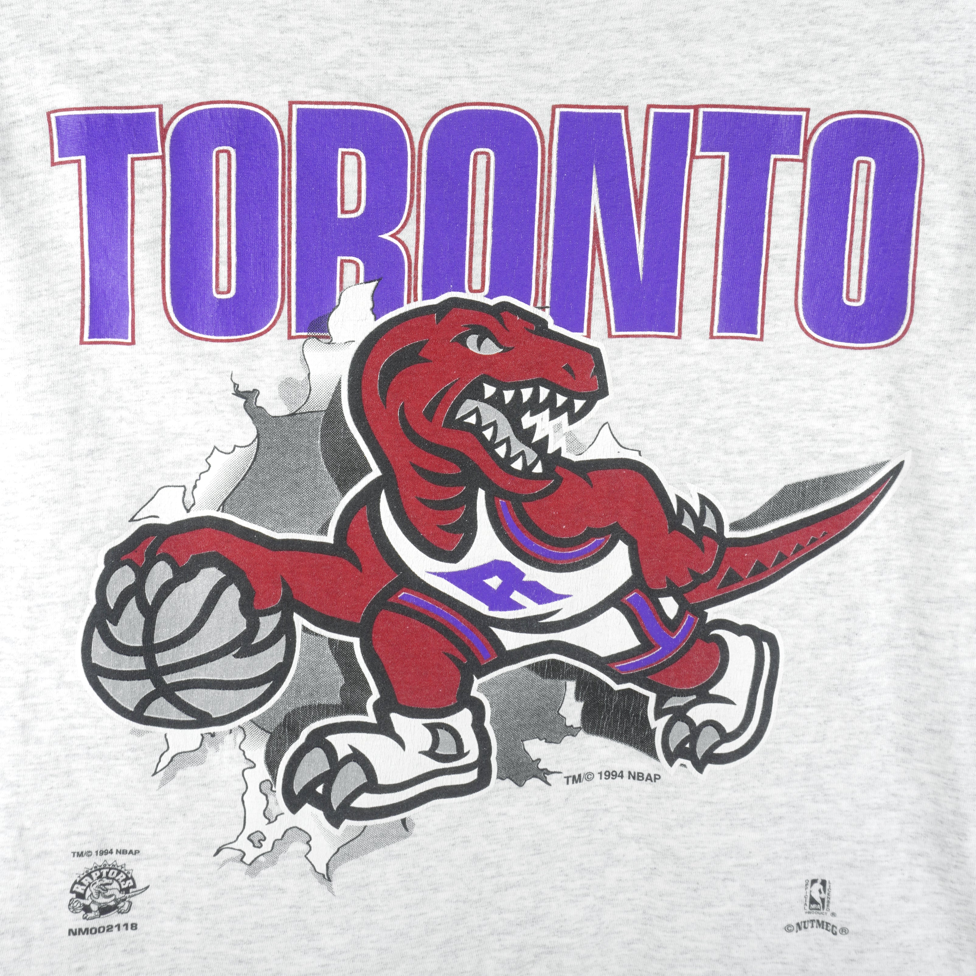 Gildan, Shirts, Vintage Nba Toronto Raptors Logo Sweatshirt Toronto Raptors  Shirt Nba Shirt U