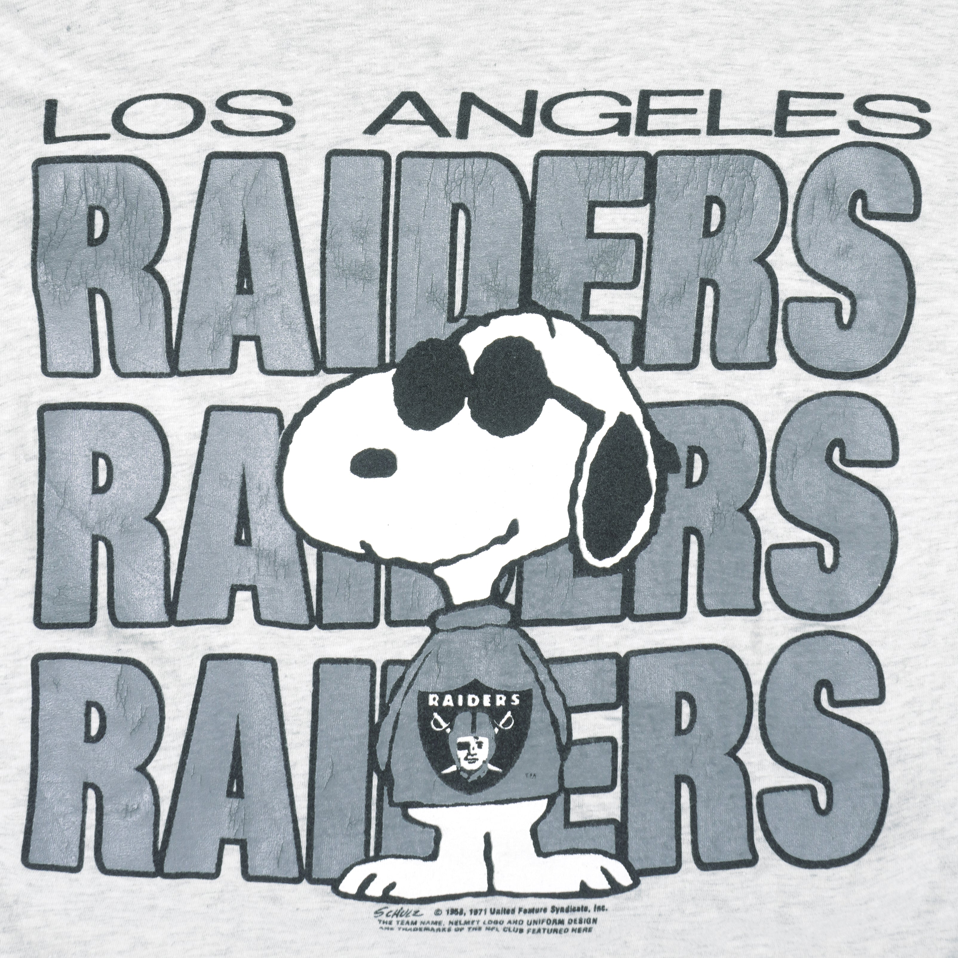 snoopy raiders