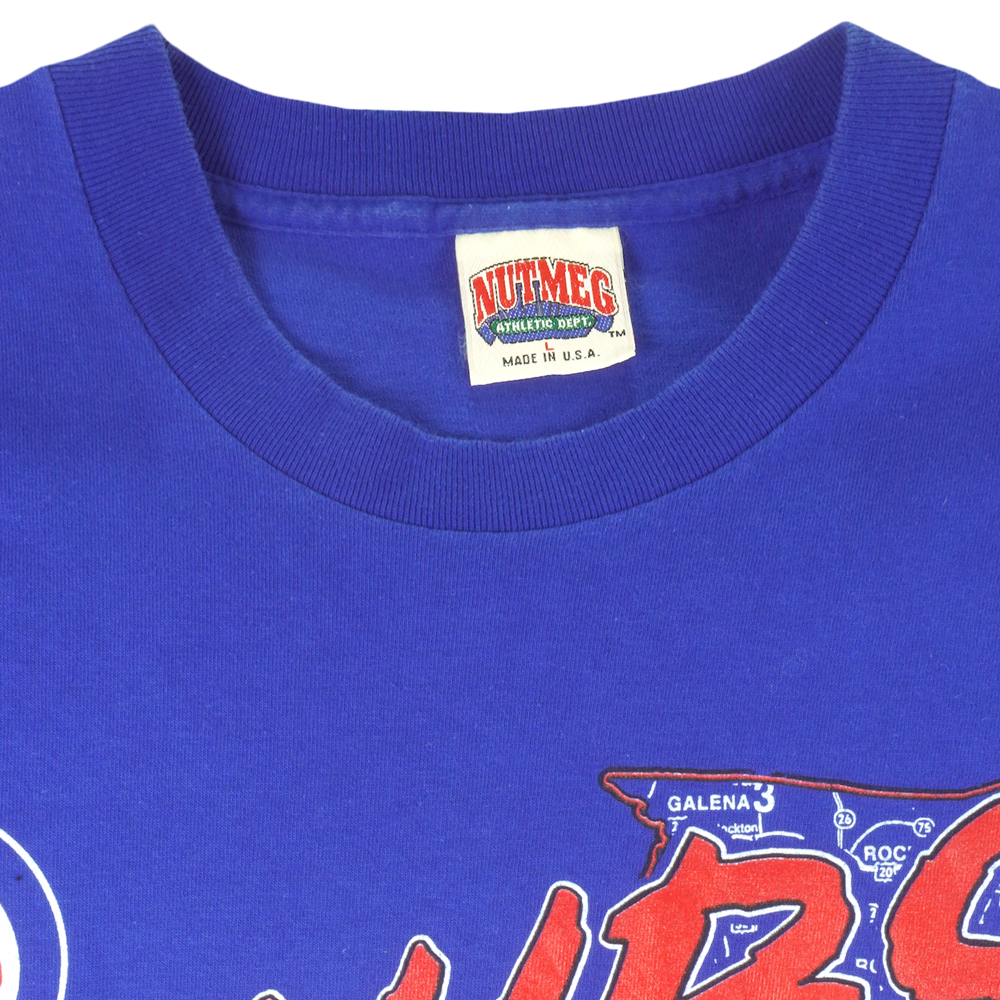 1991 CHICAGO CUBS CHAMPION TEE L - Classic American Sports