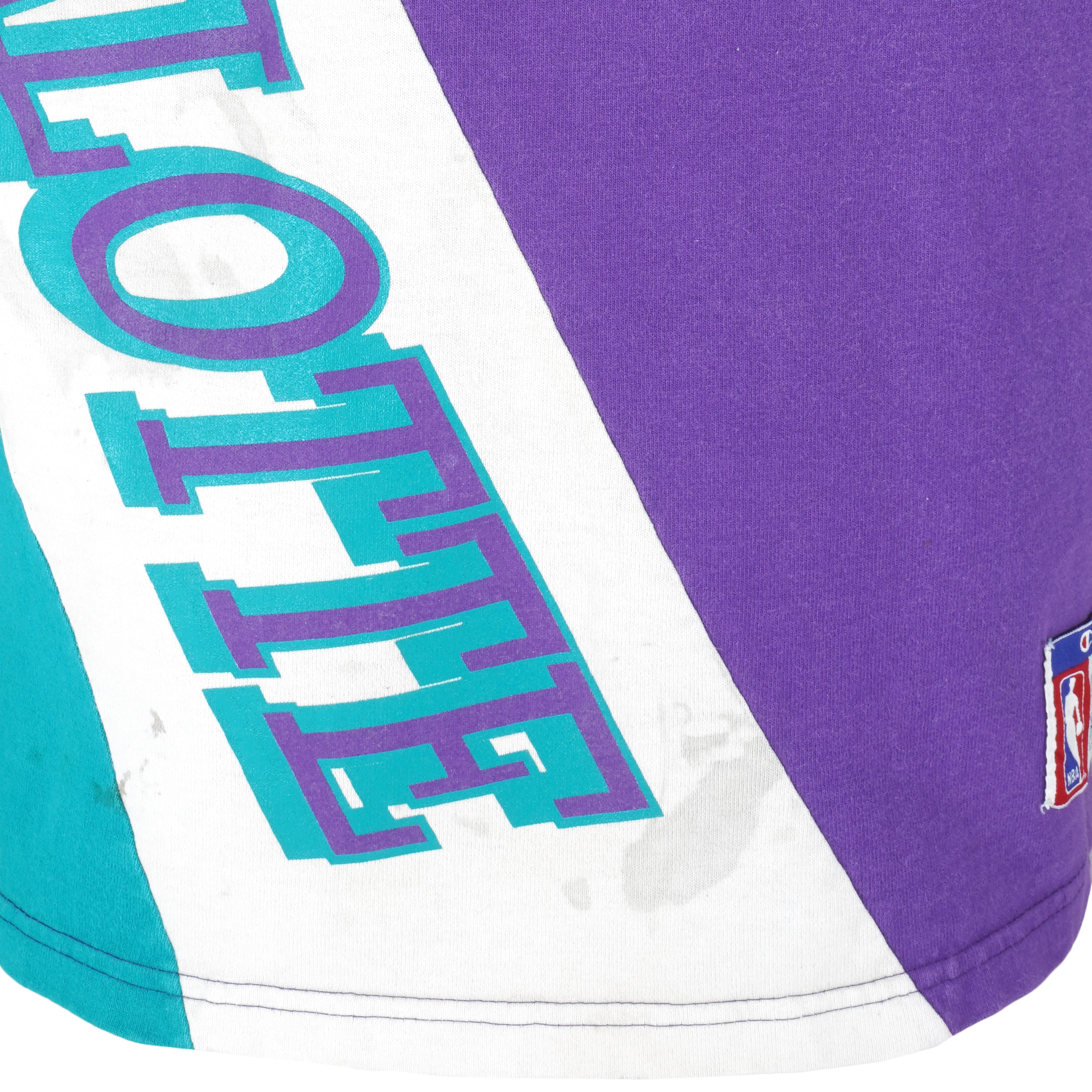 Vintage 90s Charlotte Hornets AJD wool faded two tone back spell