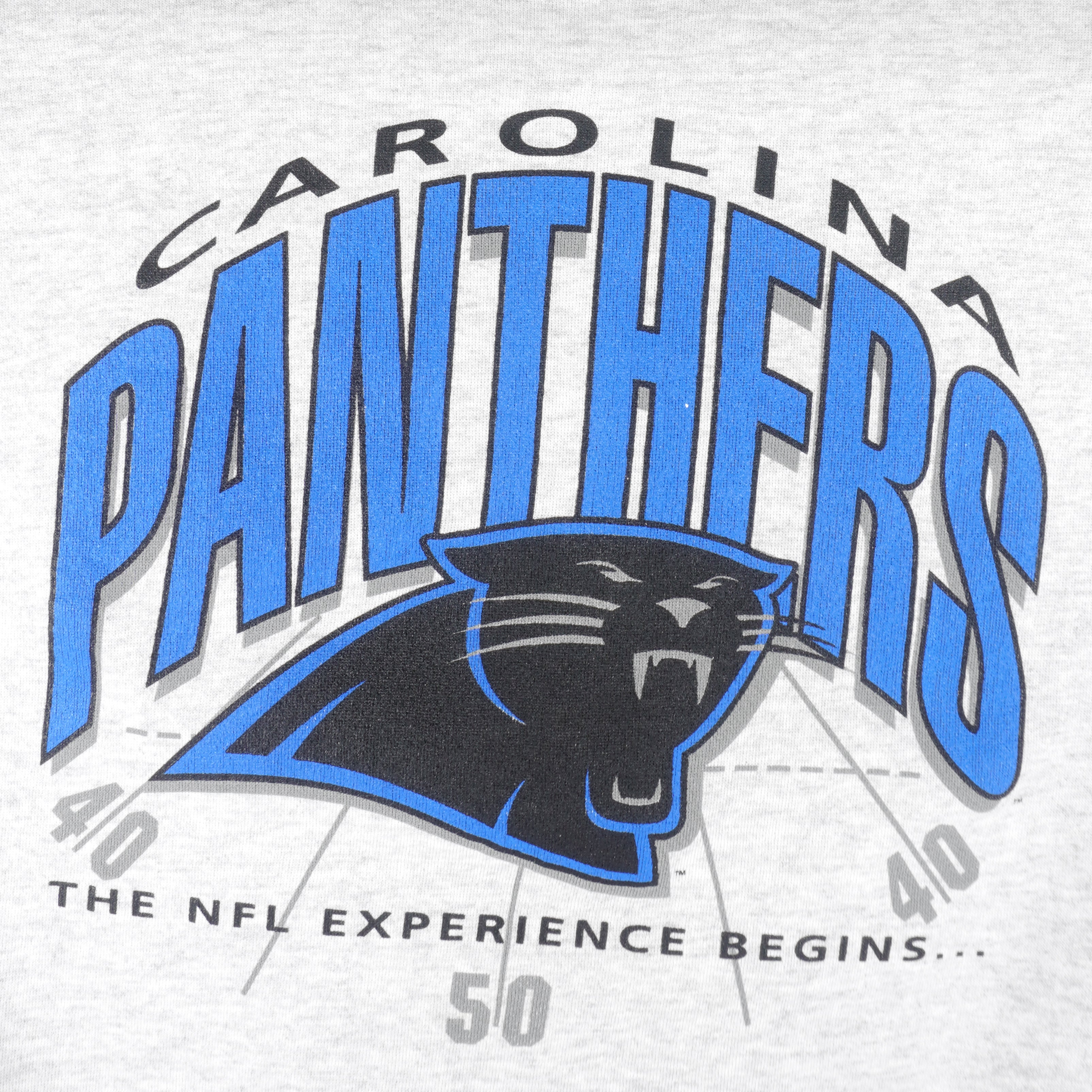 Vintage Carolina Panthers Crewneck Sweatshirt Sz L GUC Gray NFL Hanes  Activewear