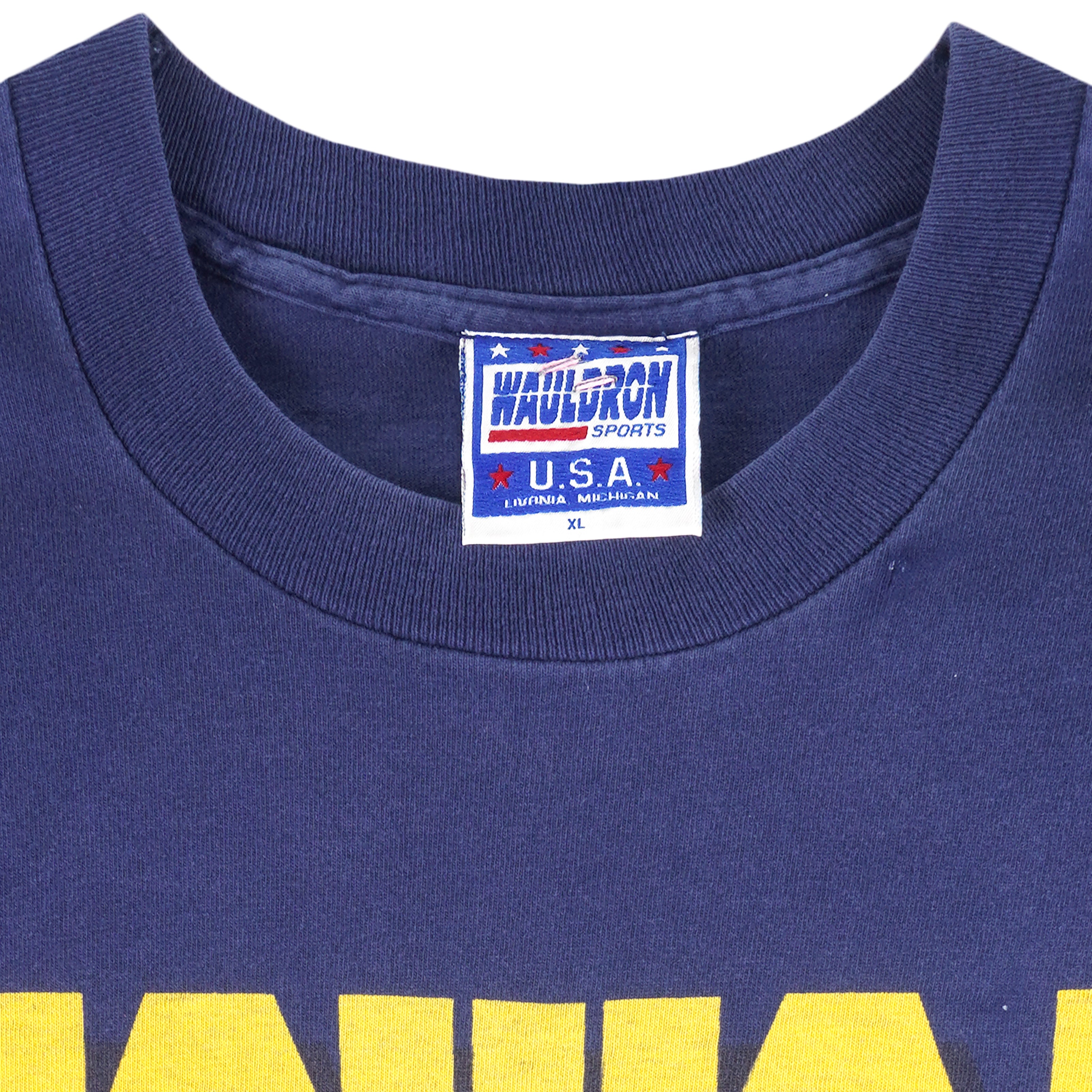 MICHIGAN WOLVERINES Basketball - 1989 NCAA Champions T-Shirt - Large -  VINTAGE!