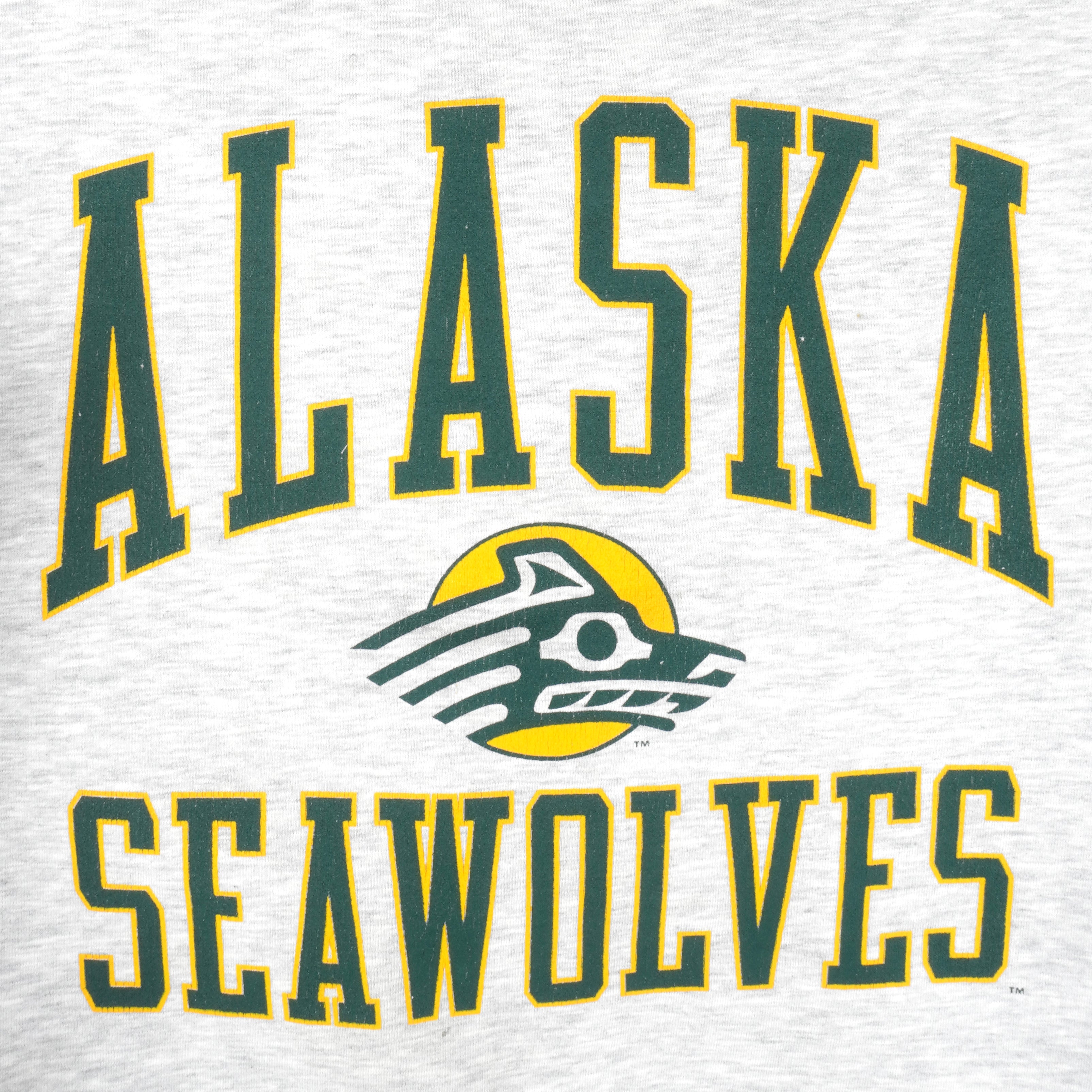 Alaska Anchorage Seawolves Hockey Jersey  Hockey clothes, Hockey sweater, Hockey  jersey
