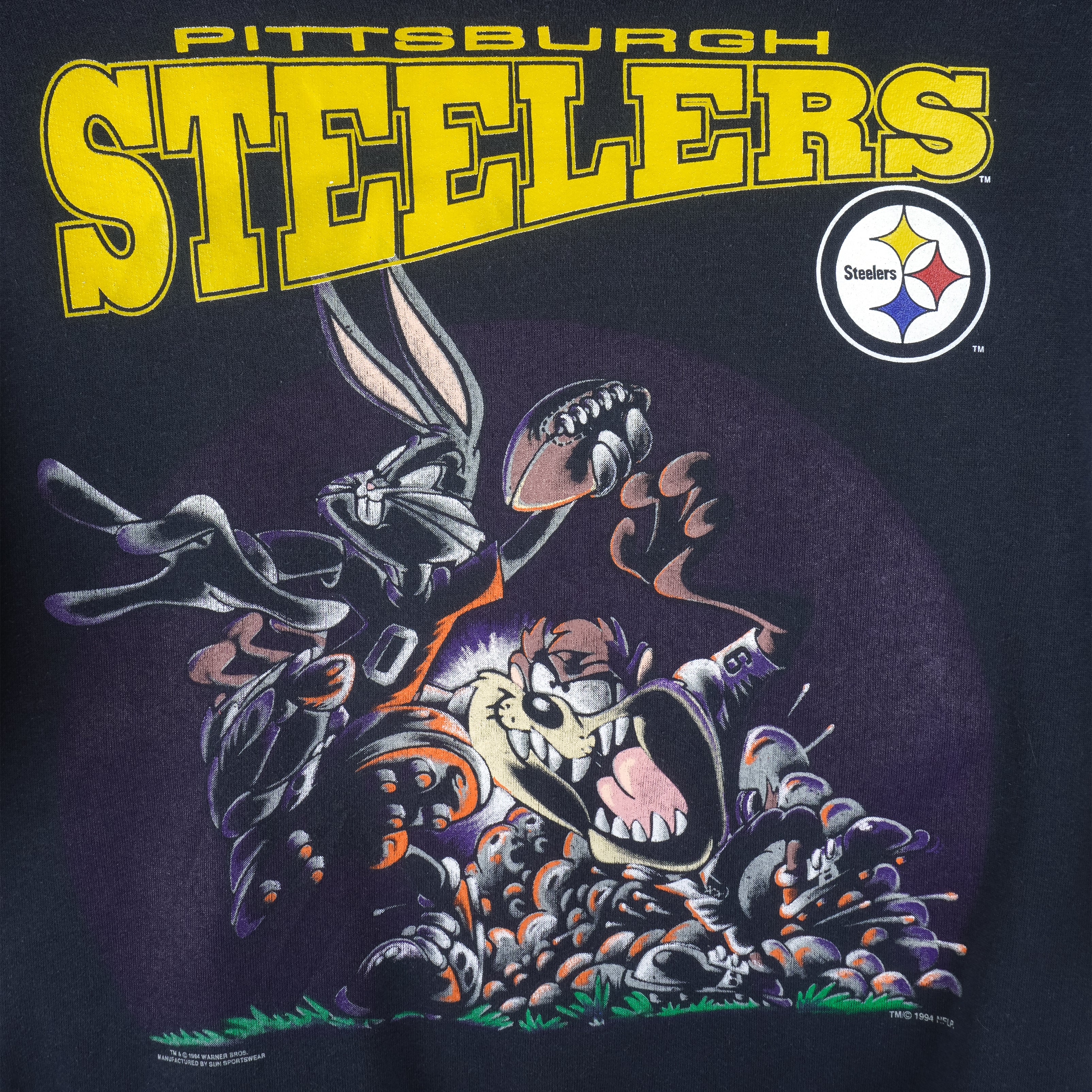 Pittsburgh Steelers Looney Tunes Taz Hoodie 