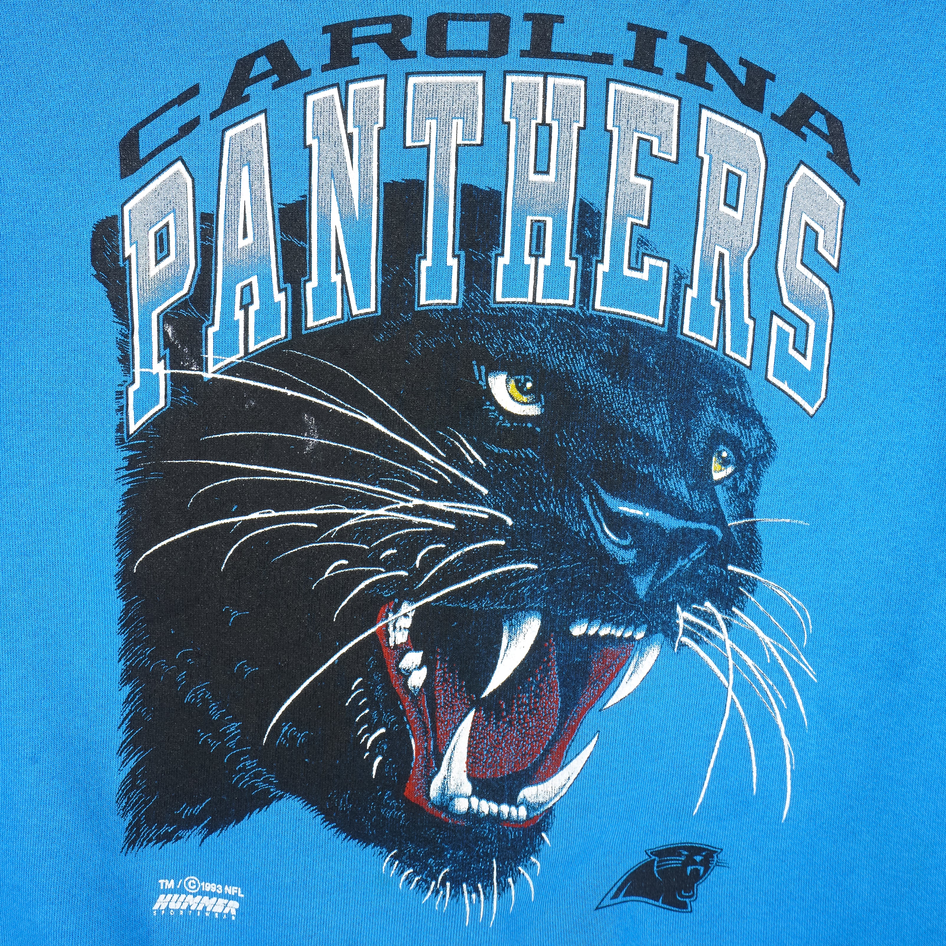 Carolina Panthers Jerseys & Teamwear, NFL Merch
