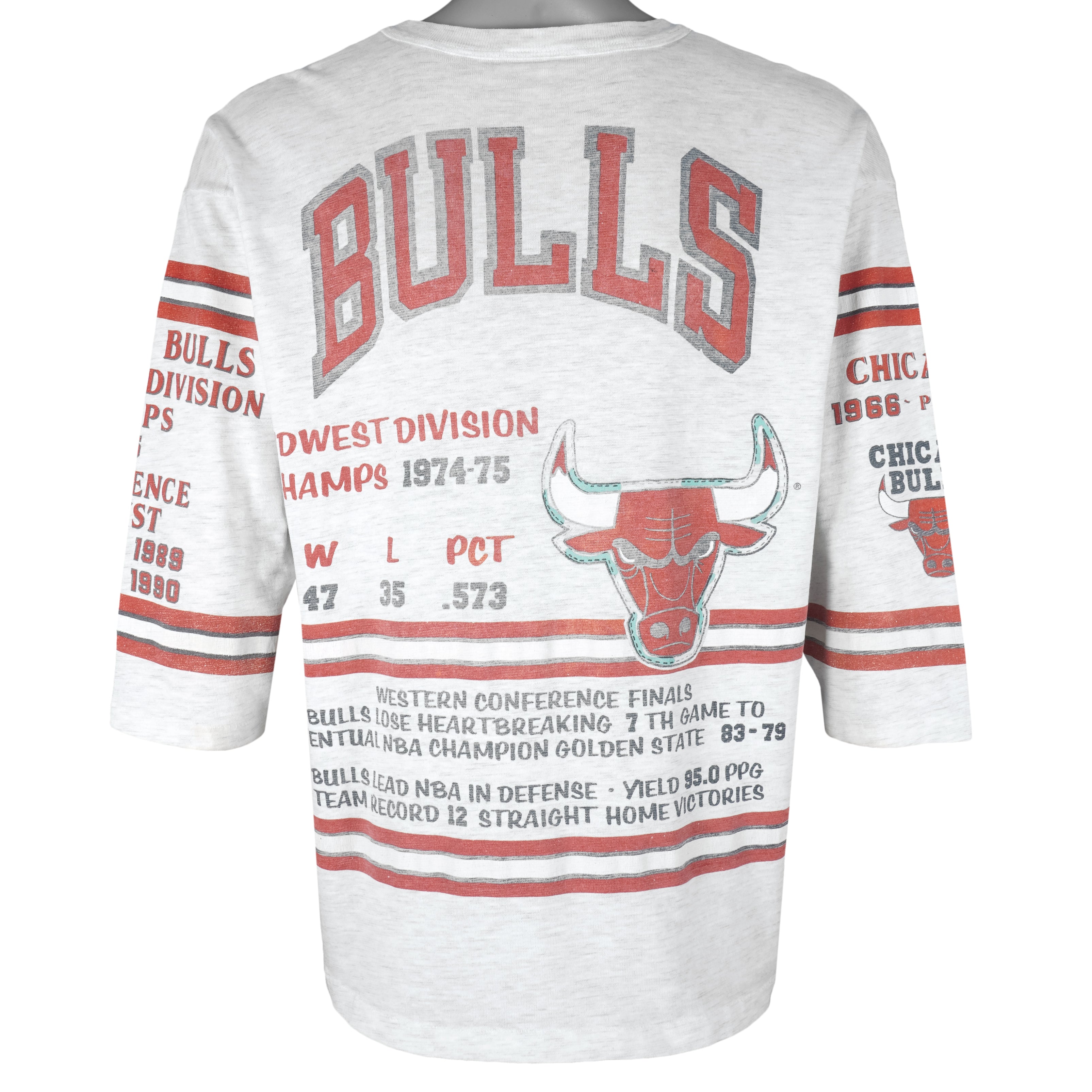 Vintage Chicago Bulls 1996 Champions Shirt, NBA Basketball Graphic Tee,  Chicago Bulls Logo Shirt